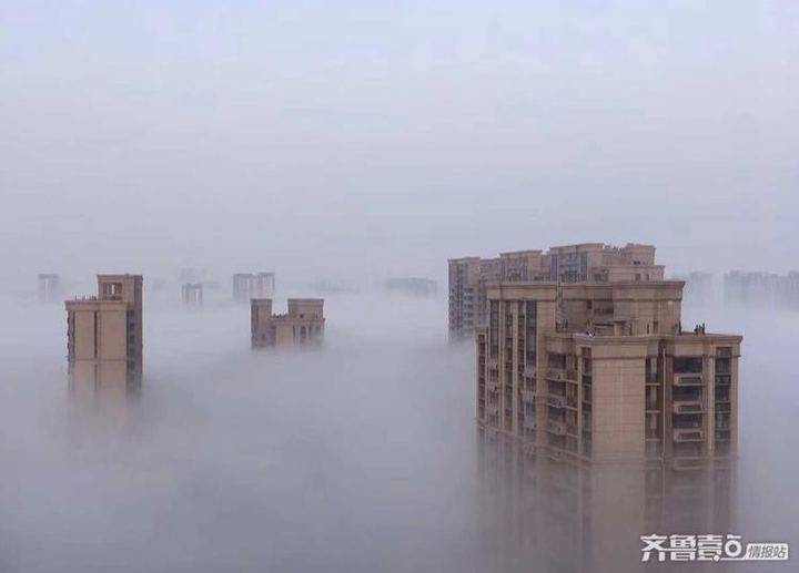 齐鲁晚报网-山东新闻门户 传播品质资讯